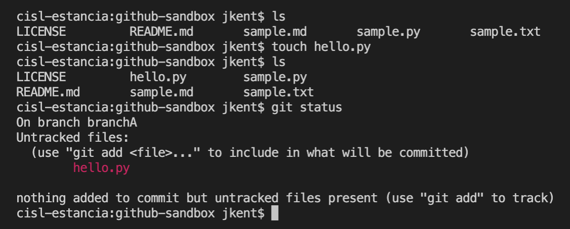 Git Status